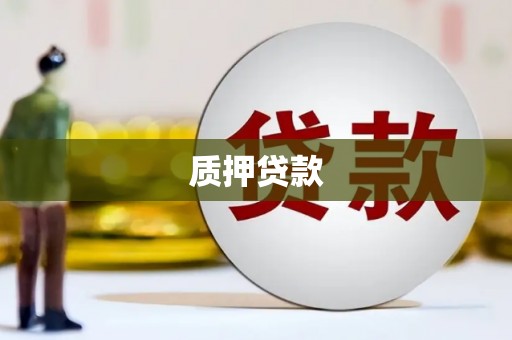 金寨质押贷款