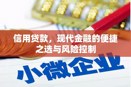金寨信用贷款，现代金融的便捷之选与风险控制