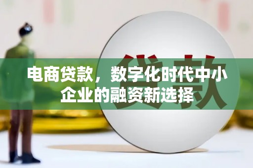 金寨电商贷款，数字化时代中小企业的融资新选择