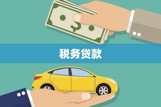 金寨税务贷款