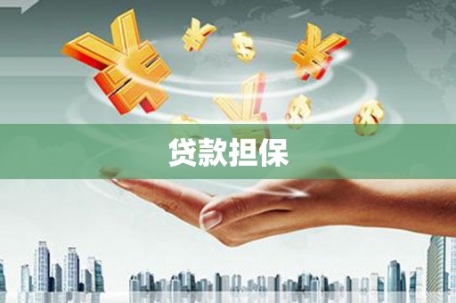 金寨贷款担保