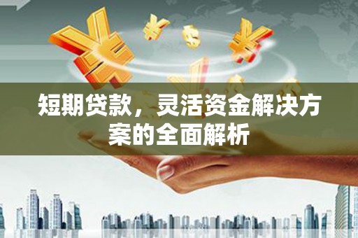 金寨短期贷款，灵活资金解决方案的全面解析