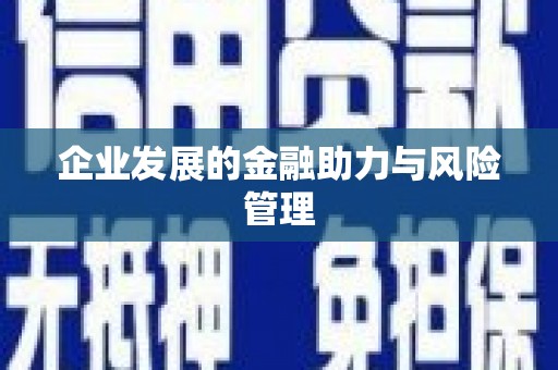 金寨企业发展的金融助力与风险管理