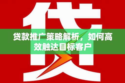 金寨贷款推广策略解析，如何高效触达目标客户