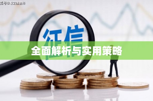 金寨全面解析与实用策略