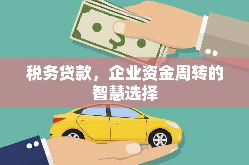金寨税务贷款，企业资金周转的智慧选择