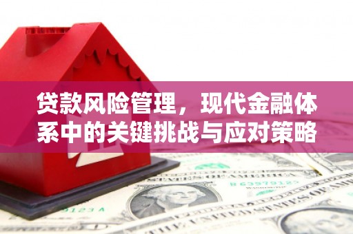 金寨贷款风险管理，现代金融体系中的关键挑战与应对策略