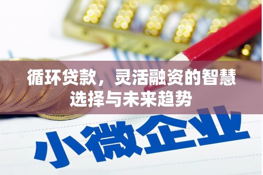 金寨循环贷款，灵活融资的智慧选择与未来趋势