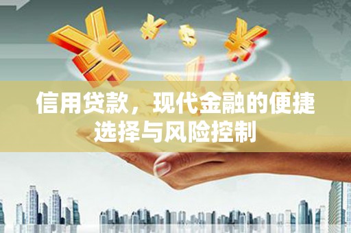 金寨信用贷款，现代金融的便捷选择与风险控制