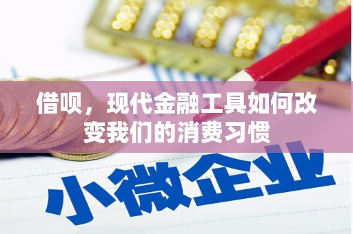 金寨借呗，现代金融工具如何改变我们的消费习惯