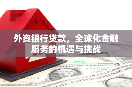 金寨外资银行贷款，全球化金融服务的机遇与挑战