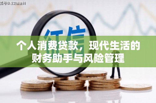 金寨个人消费贷款，现代生活的财务助手与风险管理