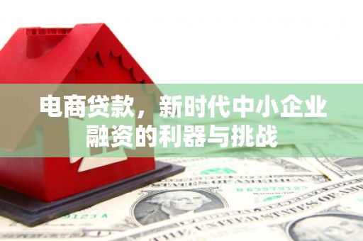 金寨电商贷款，新时代中小企业融资的利器与挑战