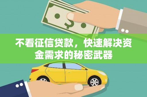 金寨不看征信贷款，快速解决资金需求的秘密武器