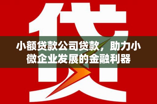 金寨小额贷款公司贷款，助力小微企业发展的金融利器