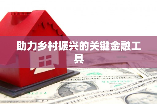 金寨助力乡村振兴的关键金融工具