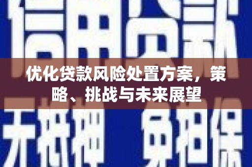 金寨优化贷款风险处置方案，策略、挑战与未来展望