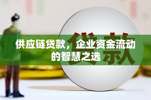 金寨供应链贷款，企业资金流动的智慧之选