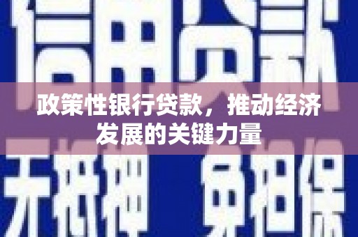 金寨政策性银行贷款，推动经济发展的关键力量