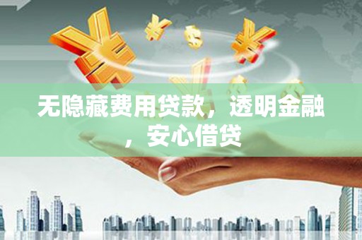 金寨无隐藏费用贷款，透明金融，安心借贷