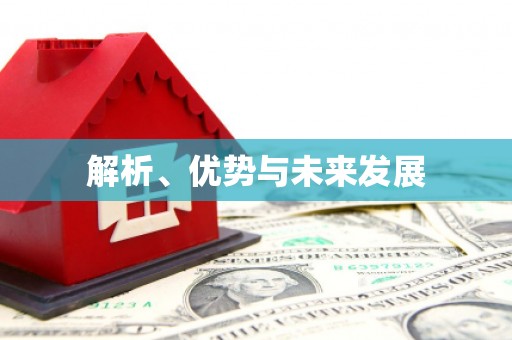 金寨解析、优势与未来发展