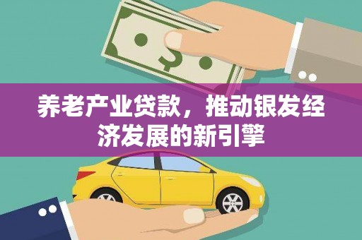 金寨养老产业贷款，推动银发经济发展的新引擎