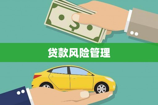 金寨贷款风险管理