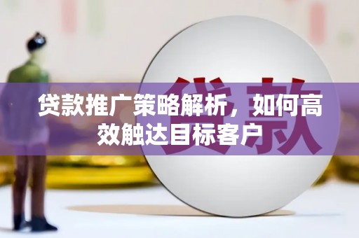 金寨贷款推广策略解析，如何高效触达目标客户