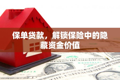 金寨保单贷款，解锁保险中的隐藏资金价值