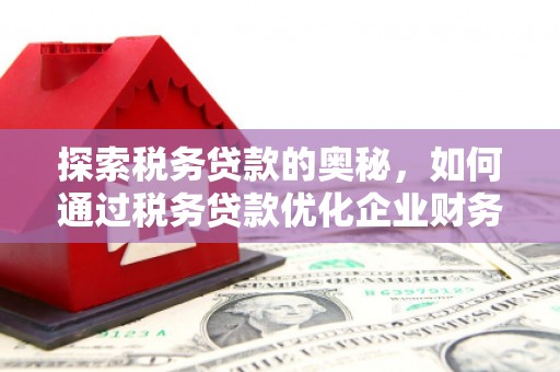 金寨探索税务贷款的奥秘，如何通过税务贷款优化企业财务