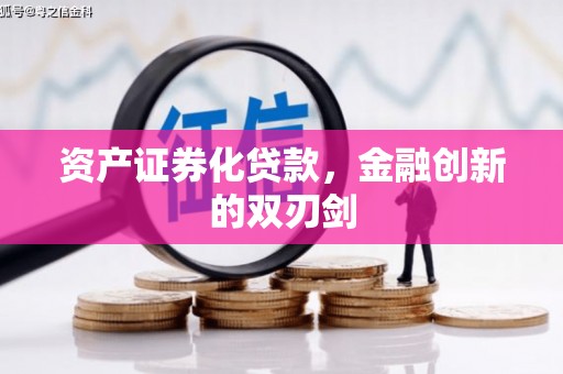 金寨资产证券化贷款，金融创新的双刃剑