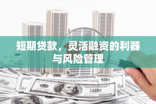 金寨短期贷款，灵活融资的利器与风险管理