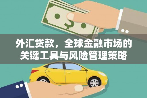 金寨外汇贷款，全球金融市场的关键工具与风险管理策略