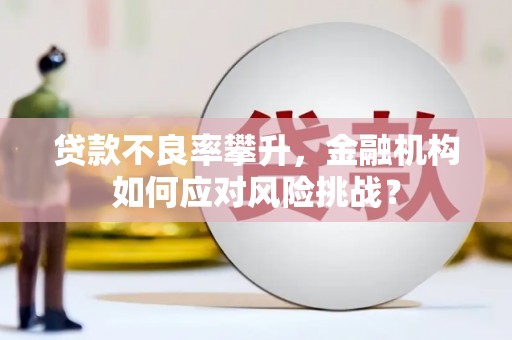 金寨贷款不良率攀升，金融机构如何应对风险挑战？