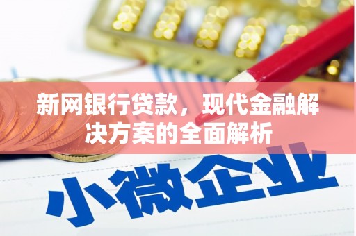 金寨新网银行贷款，现代金融解决方案的全面解析