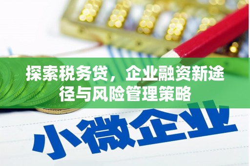 金寨探索税务贷，企业融资新途径与风险管理策略