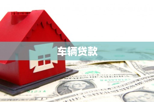 金寨车辆贷款