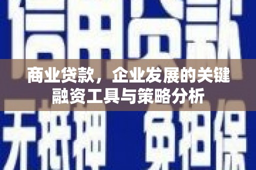 金寨商业贷款，企业发展的关键融资工具与策略分析