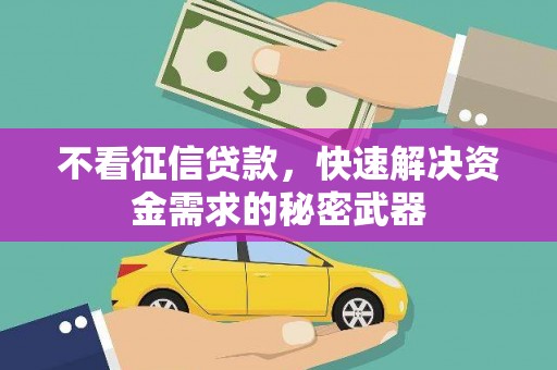 金寨不看征信贷款，快速解决资金需求的秘密武器