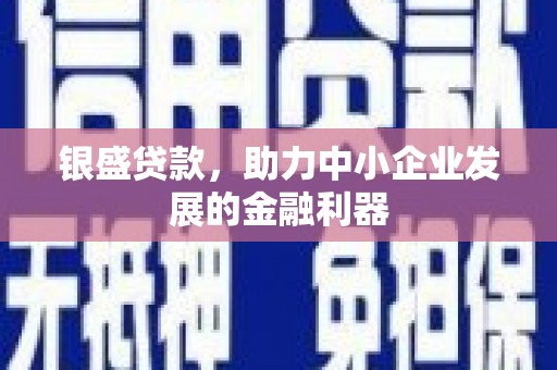 金寨银盛贷款，助力中小企业发展的金融利器