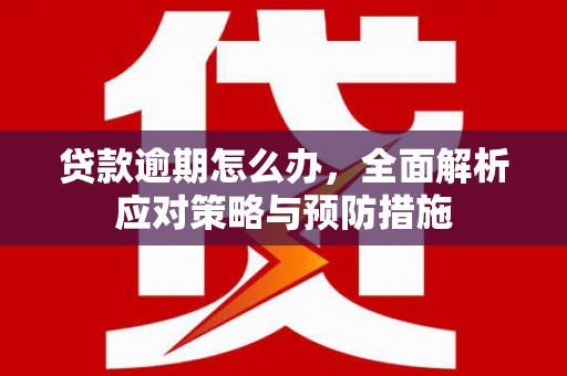 金寨贷款逾期怎么办，全面解析应对策略与预防措施