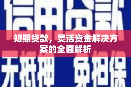 金寨短期贷款，灵活资金解决方案的全面解析