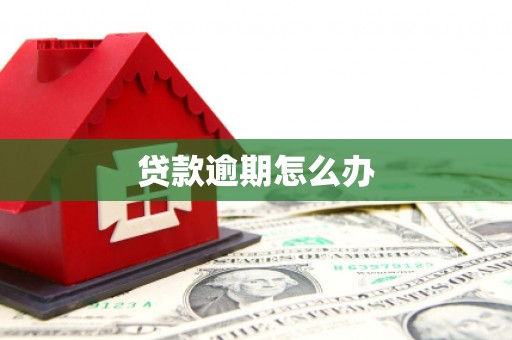 金寨贷款逾期怎么办