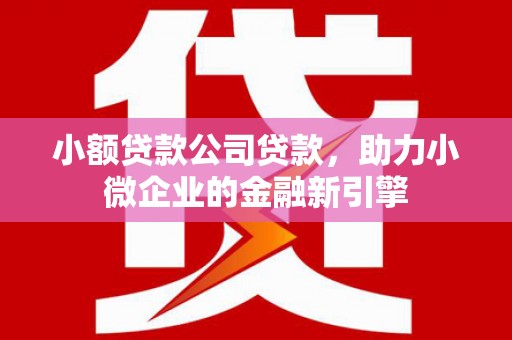 金寨小额贷款公司贷款，助力小微企业的金融新引擎