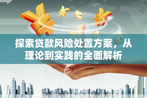 金寨探索贷款风险处置方案，从理论到实践的全面解析