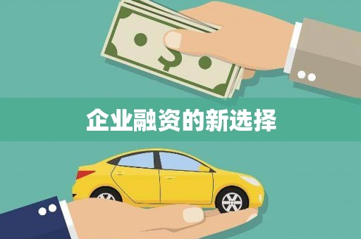 金寨企业融资的新选择