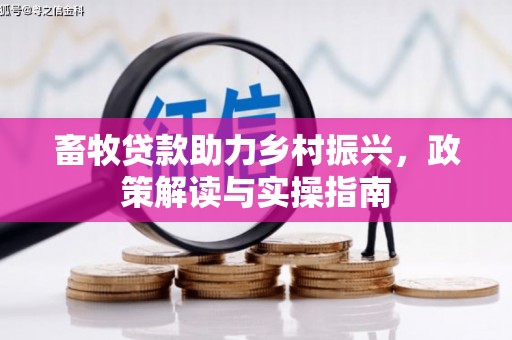 金寨畜牧贷款助力乡村振兴，政策解读与实操指南