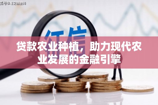 金寨贷款农业种植，助力现代农业发展的金融引擎