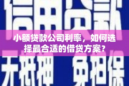 金寨小额贷款公司利率，如何选择最合适的借贷方案？