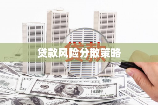 金寨贷款风险分散策略